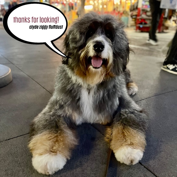 Marine Layer Bridget Wide Leg Crop Pant Copper/BrownSize 8 - Picture 9 of 9